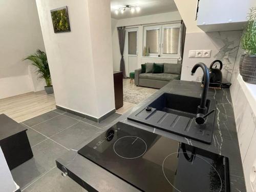 a kitchen with a sink and a living room at Apartmány Foresta Jasná in Demanovska Dolina