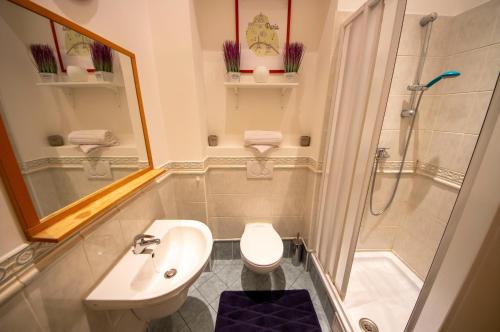 a bathroom with a toilet sink and a shower at AUTENTIC APARTMENTS Platnéřská in Prague