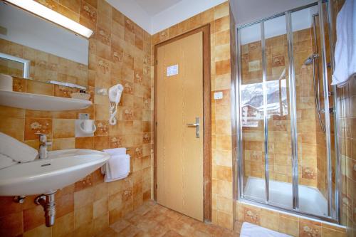 a bathroom with a sink and a shower at Garni Bondi in Selva di Val Gardena