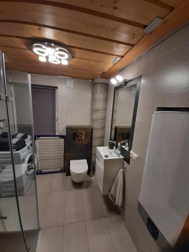 a bathroom with a toilet and a sink at Domek na szlaku RIKARDO in Ponice
