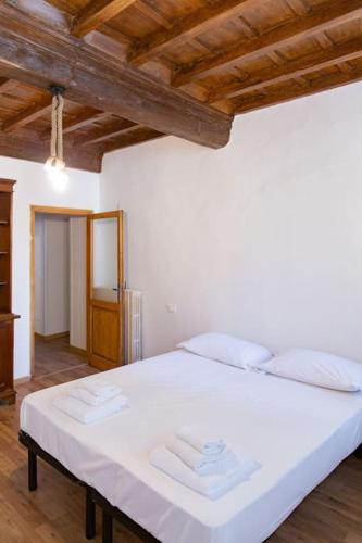 Sweet Apartment Near Piazza Pitti
