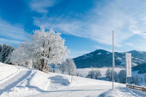 Beim Hochfilzer Superior 4 Sterne en invierno