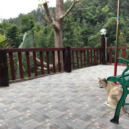 Gallery image of Forest Guesthouse in Samoeng
