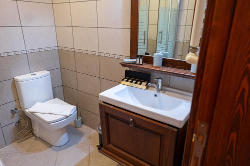 uma casa de banho com um WC, um lavatório e um espelho. em Serene House with Backyard in Bozcaada em Canakkale