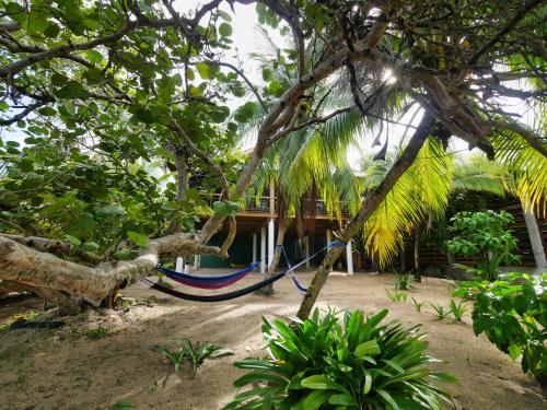 Ein Garten an der Unterkunft White Sand Beach, 3 Bedrooms House - Walking Distance To West End And West Bay