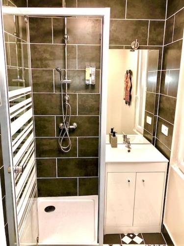 une salle de bain avec douche et lavabo dans l'établissement Le Mécanique Room centre ville, parking gratuit, à Sens
