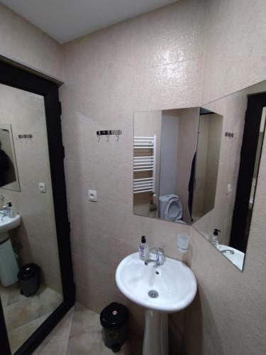 a bathroom with a white sink and a mirror at Gogichas tower in Borjomi