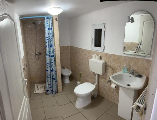 a bathroom with a toilet and a sink and a shower at Casa Maria in Vişeu de Sus