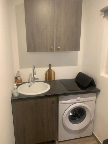 une salle de bain avec une machine à laver et un lavabo dans l'établissement Cosy jacuzzi, à Orange