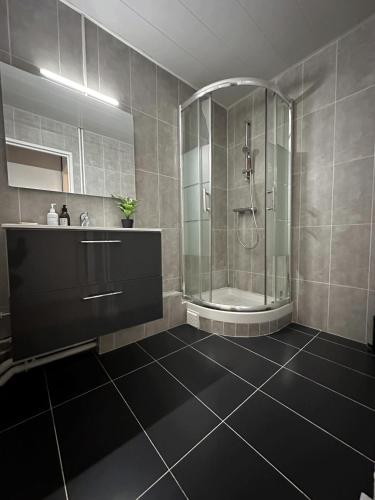 une salle de bain avec douche et lavabo dans l'établissement l'écrin de la mairie, à Colombes