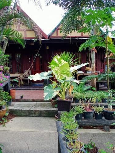a house with a bunch of plants in front of it at P P Garden Home Bungalow in Phi Phi Don