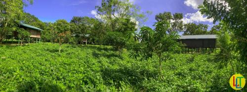 a house on top of a hill with trees at mango villa wilpattu in Nekattegama