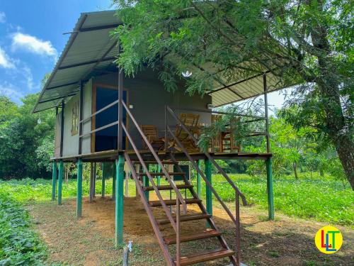 a tree house with stairs leading up to it at mango villa wilpattu in Nekattegama