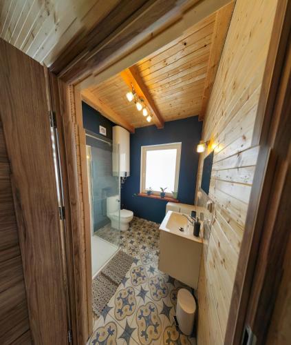 a bathroom with a toilet and a sink at Leśna Ostoja in Lubawka