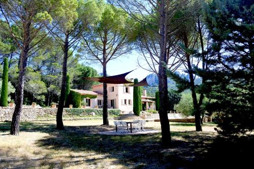 una mesa de picnic en medio de un parque con árboles en La Bastide de la Provence Verte, chambres d'hôtes, en La Roquebrussanne