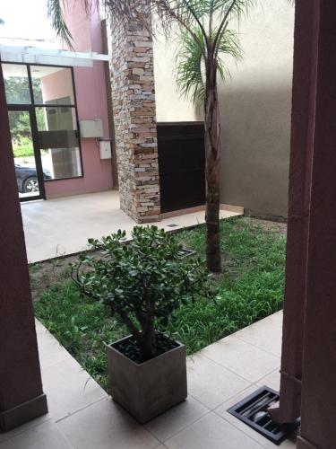 a courtyard with a palm tree in a building at Real .Departamento in Luján
