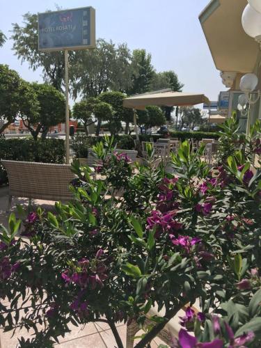a garden with purple flowers and chairs and a sign at Hotel Rosati in Rimini