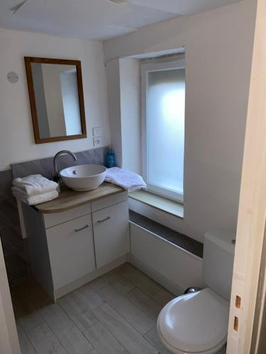 baño con lavabo y aseo y ventana en La Dilichambre, en Carcagny