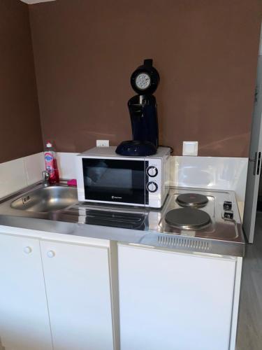 un four micro-ondes assis sur un comptoir à côté d'un évier dans l'établissement La Dilichambre, à Carcagny