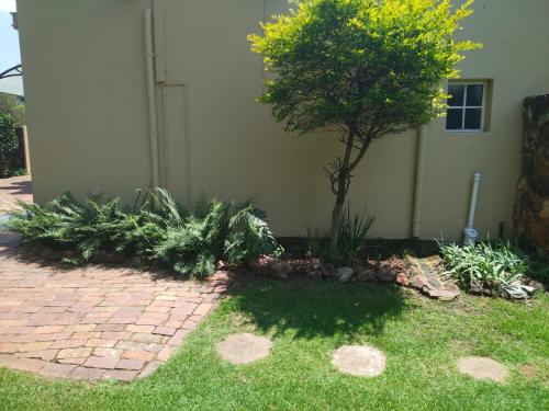 a garden with a tree and some plants at LightStone Guesthouse in Centurion
