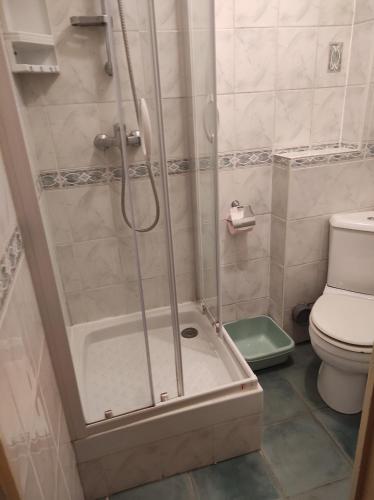 uma casa de banho com um chuveiro e um WC. em Appartement calme dans quartier résidentiel. em Nancy