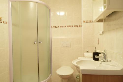 La salle de bains est pourvue d'une douche, d'un lavabo et de toilettes. dans l'établissement Apartmány Černý Důl, à Černý Důl