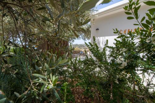 a view of a garden from behind some plants at Christos Place-Anidri in Palaiochóra