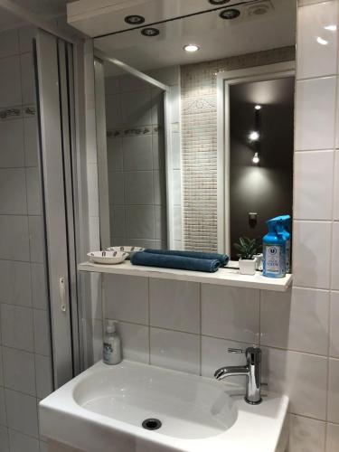 een badkamer met een wastafel en een spiegel bij Studio entre Nice et Monaco in Beaulieu-sur-Mer