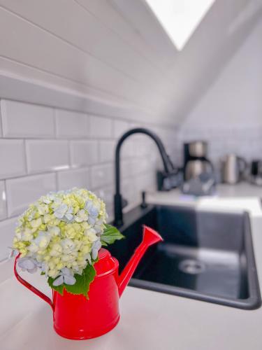 a red watering can with flowers in it on a kitchen counter at Amalú Luxury View Cabins in Monteverde Costa Rica