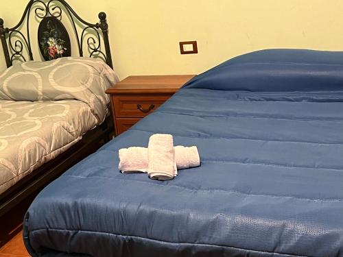 para ręczników siedząca na niebieskim łóżku w obiekcie SantaRufinaHome w mieście LʼAquila