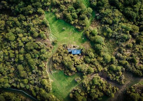 una vista aerea di una casa nel mezzo di una foresta di Tokoeka PurePod a Stewart Island