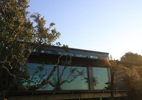 a building with a tree on the side of it at Tokoeka PurePod in Stewart Island