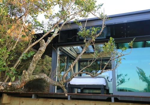 a tree grows in front of the window of a house at Tokoeka PurePod in Stewart Island