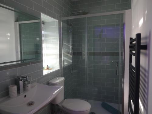 La salle de bains est pourvue de toilettes, d'un lavabo et d'une douche. dans l'établissement Bowness Bed & Breakfast Double Room, Bowness-on-Solway, à Bowness-on-Solway