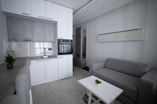 a kitchen and a living room with a couch and a table at NLux 11 Apartment in Kopaonik