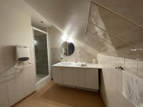 La salle de bains est pourvue d'un lavabo, d'une douche et d'un miroir. dans l'établissement Logis Hôtel Teyssier, à Uzerche