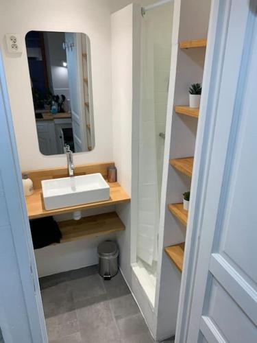 une salle de bain avec un lavabo et un miroir dans l'établissement Le petit cocon Nîmois, à Nîmes