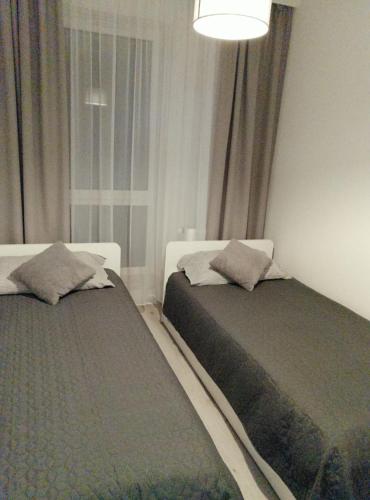 two beds in a room with a window at Apartament MajaHouse in Nowa Sól