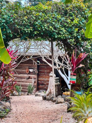 Zahrada ubytování Glamping Hotel Flor y Bambu