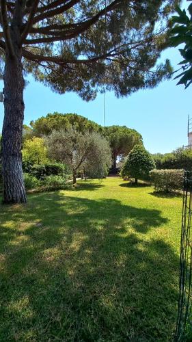 Gallery image of casaisoladelba immersa nel verde a 80mt dalla spiaggia in Lacona