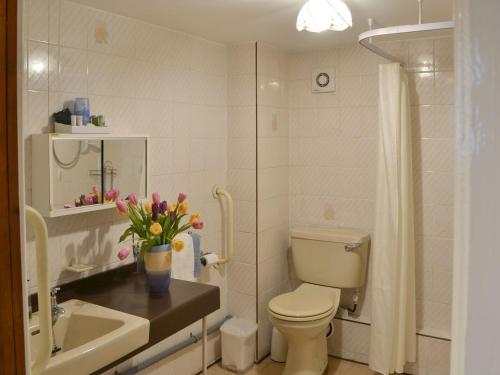 uma casa de banho com WC e um lavatório com flores num vaso em Buckswell Cottage em Hury