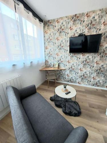 a living room with a couch and a tv on a wall at Studio confort #3, Proche Gare et commodités in Maubeuge