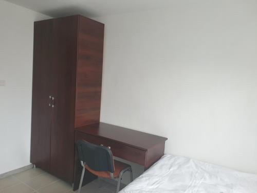 a bedroom with a desk and a chair next to a bed at Vila Dionysos Brasov in Braşov