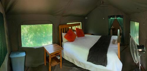 ein Schlafzimmer mit einem Bett in einem Zelt in der Unterkunft Mzsingitana Tented Camp in Hoedspruit