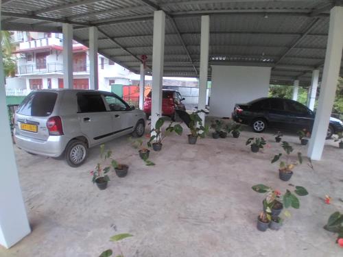 a group of potted plants in a parking lot at Jayathmaguest in Peradeniya