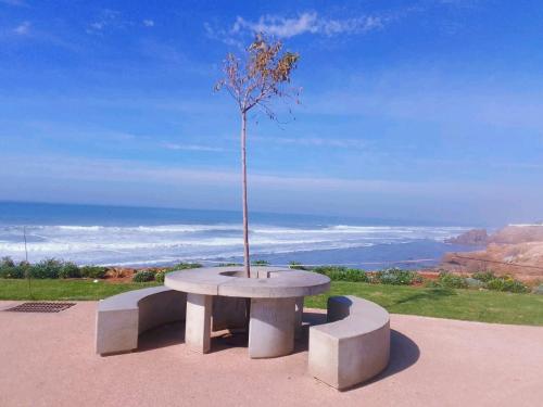 a tree sitting on a table with two benches at Four Seasons Apartment in Agadir