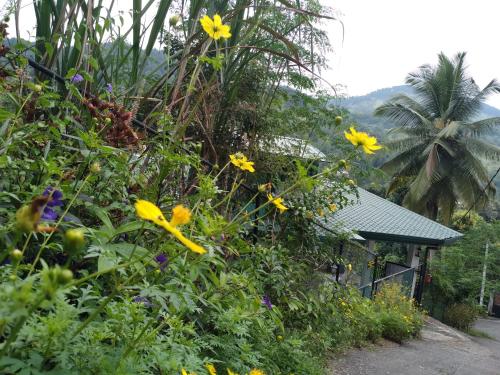 a garden with yellow flowers in front of a house at Jayathmaguest in Peradeniya