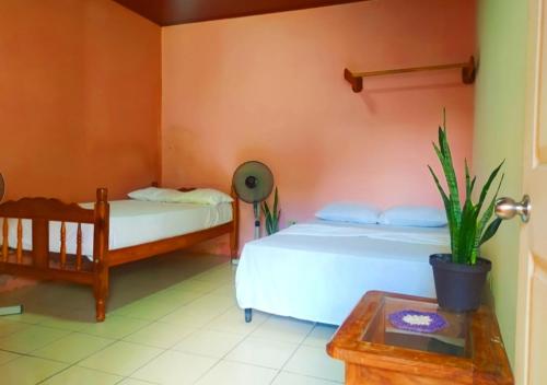 a bedroom with two beds and a table with a plant at Rustic House Hostel in Moyogalpa
