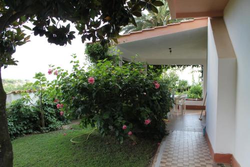 Taman di luar Rosy Hotel Residence