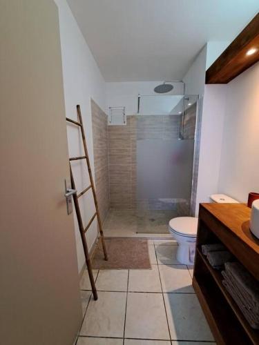 a bathroom with a shower and a toilet in it at Appartement vue mer, résidence avec piscine à Tartane in La Trinité